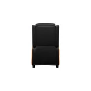 Cougar Ranger One (UA)