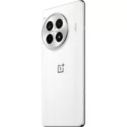 OnePlus Ace 3 Pro PJX110 24/1TB Silver