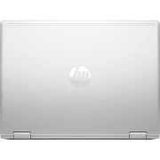 HP ProBook x360 435 G10 Pike Silver (AD0Y4ET) (UA)