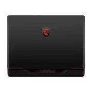 MSI Raider GE68 HX 14VGG-287US (RAIDERGE6814287)