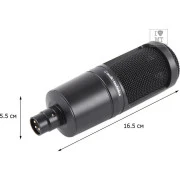 Audio-Technica AT2020