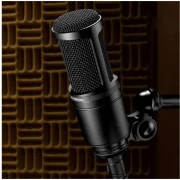 Audio-Technica AT2020