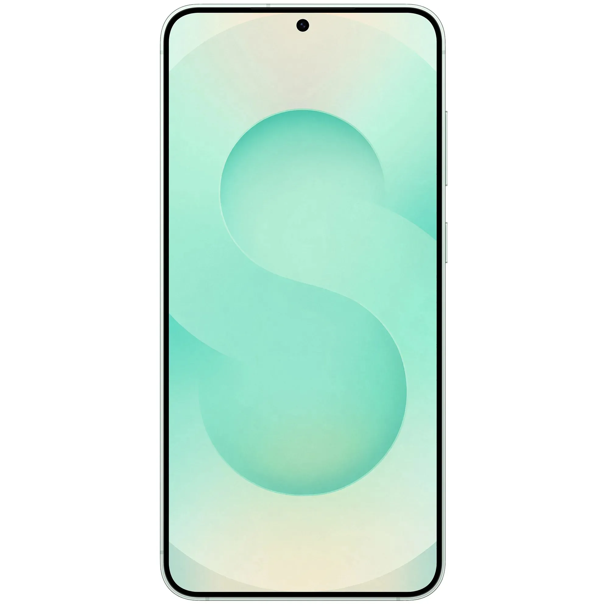 Samsung Galaxy S25+ 12/256GB Mint (SM-S936BLGDSEK) (UA) Дисплей: 6.7 / Amoled (3120x1440 пікселів)