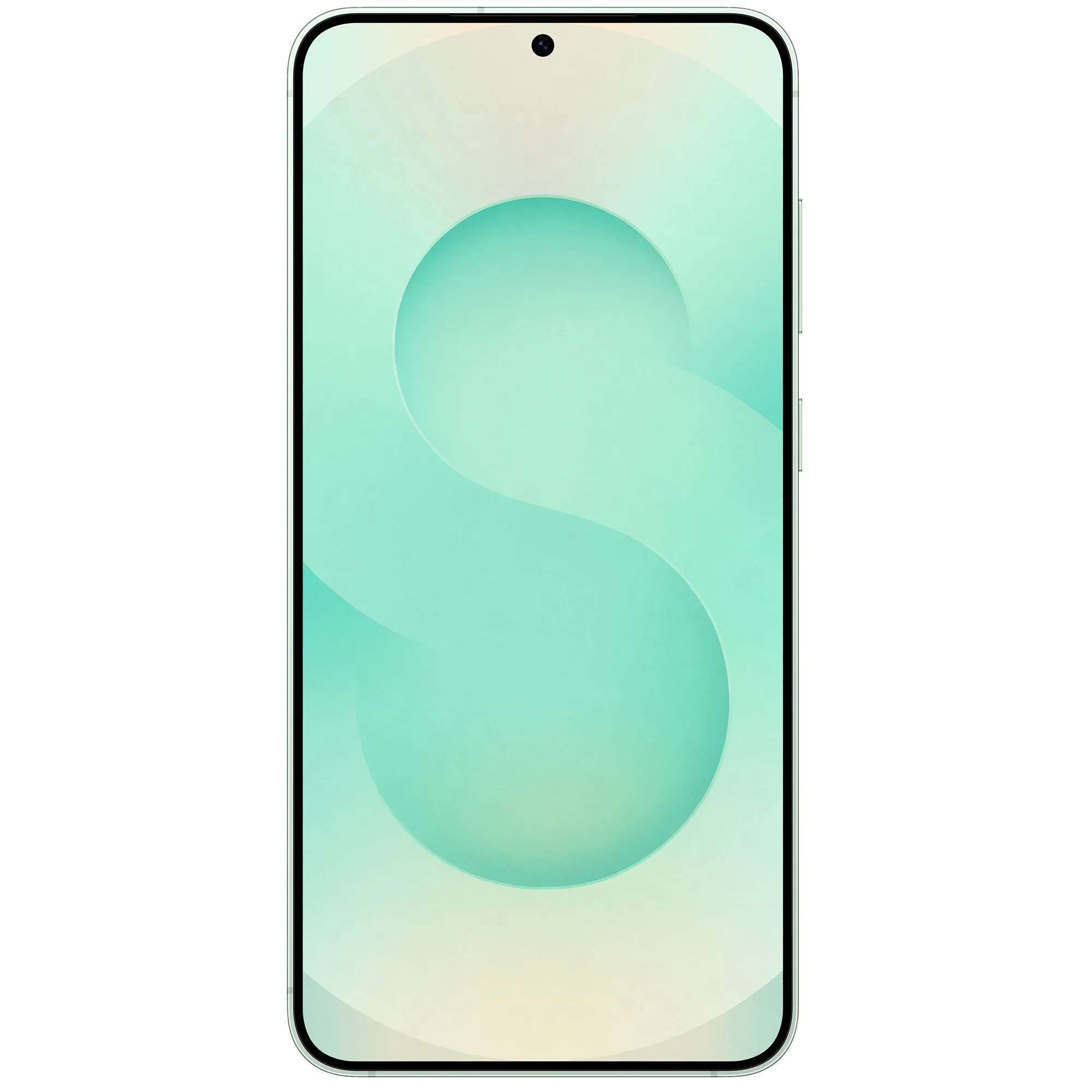 Samsung Galaxy S25+ 12/512GB Mint (SM-S936BLGG) Дисплей: 6.7 / Amoled (3120x1440 пікселів)