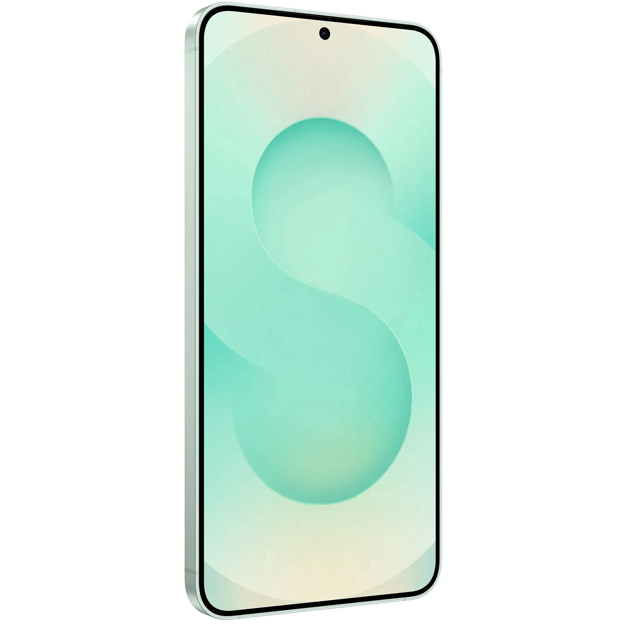 Samsung Galaxy S25+ 12/256GB Mint (SM-S936BLGDSEK) (UA) Вбудована пам'ять, GB  256 