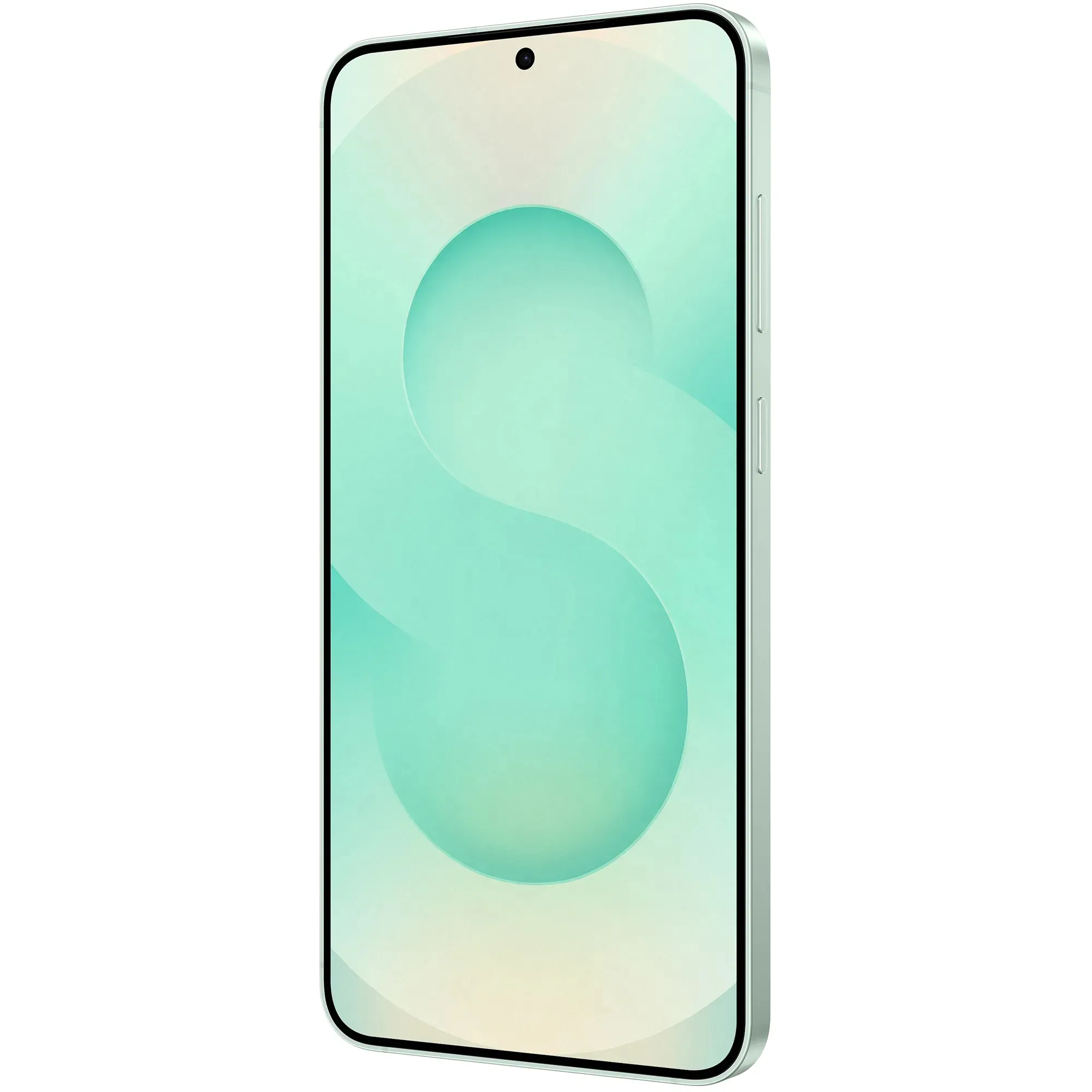 Samsung Galaxy S25+ 12/256GB Mint (SM-S936BLGDSEK) (UA) Рам = 12 