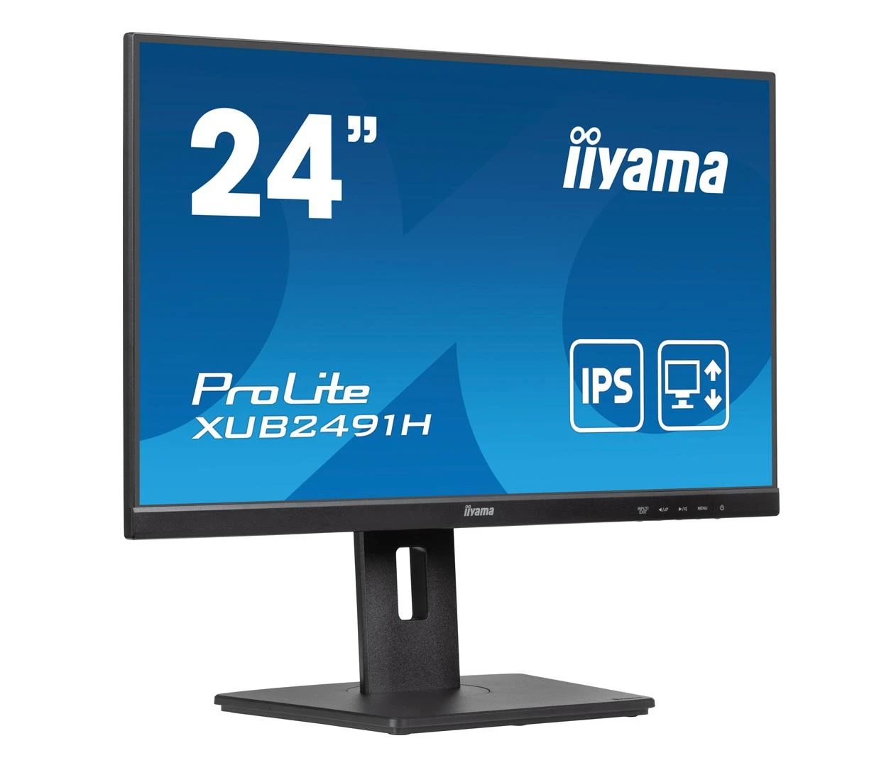 iiyama ProLite XUB2491H-B1 (XUB2491H-B1) EU Матричное покрытие  матовый