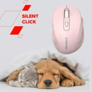 Canyon OnClick 20 Wireless White (CNE-CMSW20W) (UA)