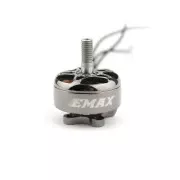 Двигун для дрона Emax ECO II 2207 2400KV (0101096017) (UA)