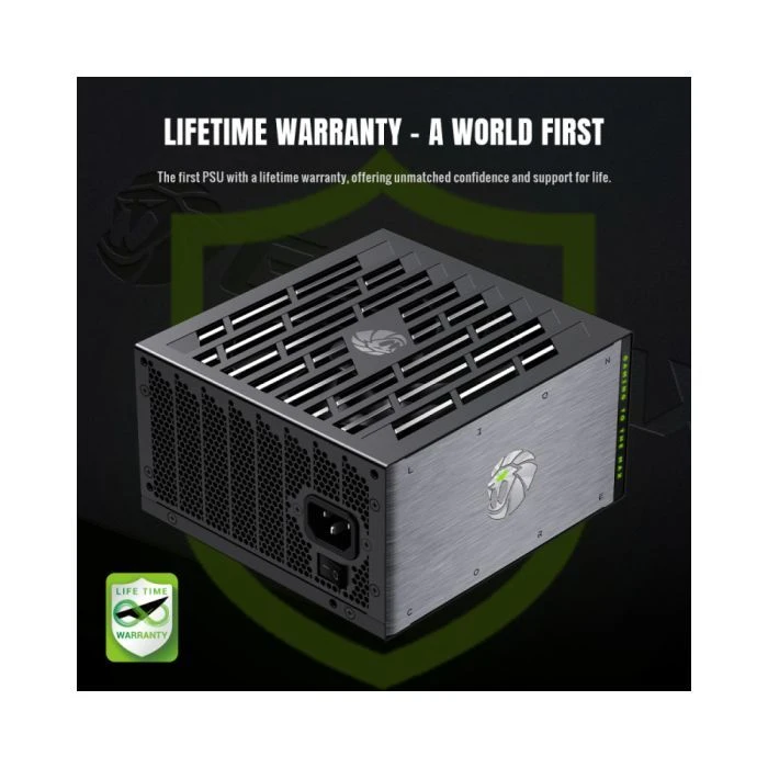 Gamemax 1000W (Lion core 1000P) (UA)