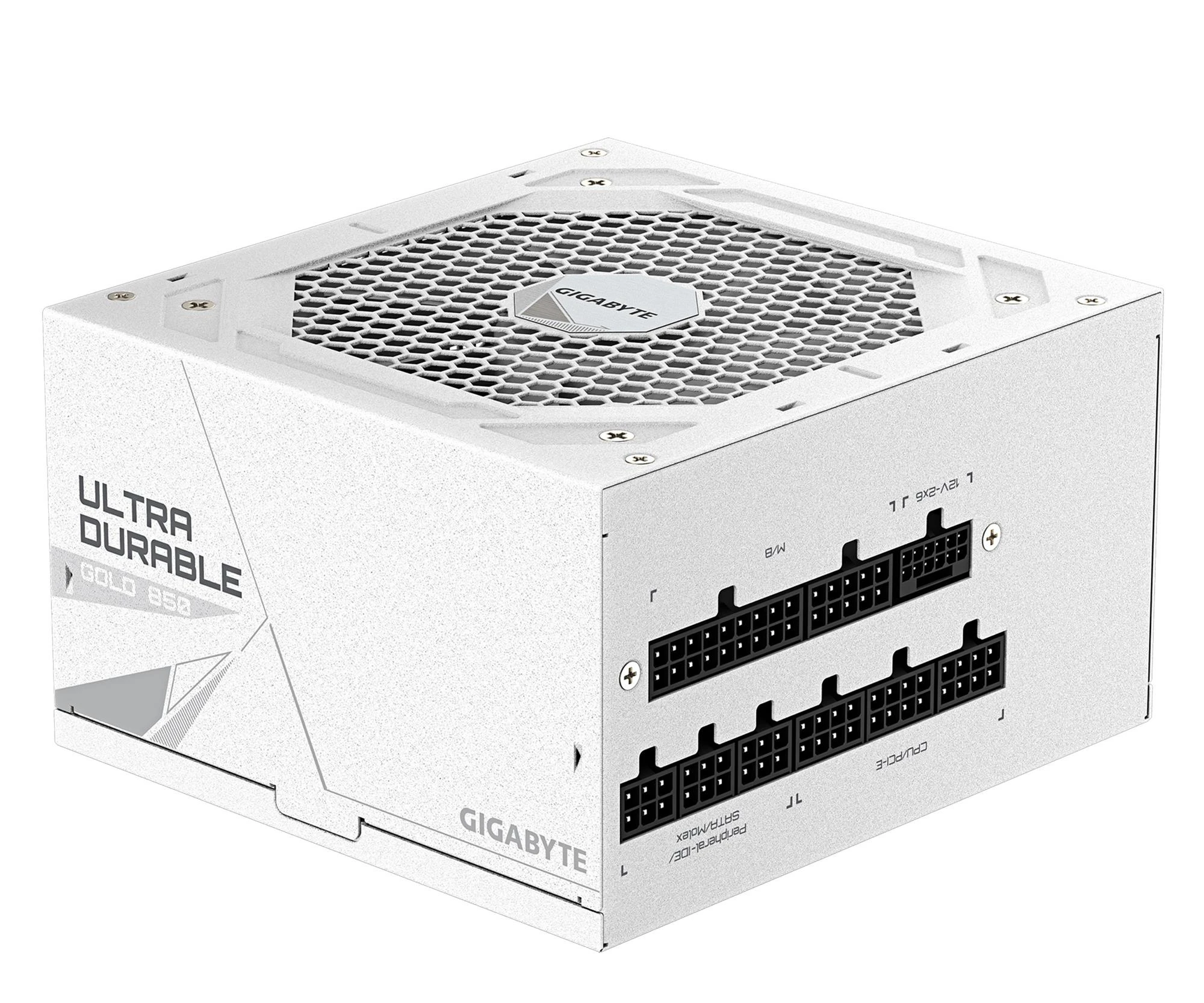 Gigabyte UD850GM PG5 ICE 850W 80 Plus Gold ATX 3.1 (GP-UD850GM PG5 ICE) EU