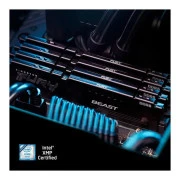 DDR5 128GB (2x64GB) 5600 MHz Beast Kingston Fury (ex.HyperX) (KF556C36BBEK2-128) (UA)