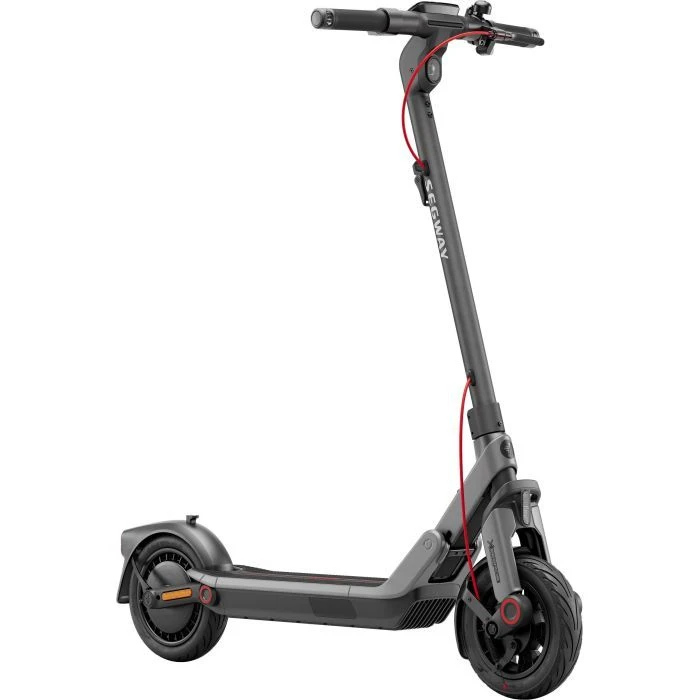 Электросамокат Segway E3 PRO E серый (AA.05.19.02.0003) (UA)