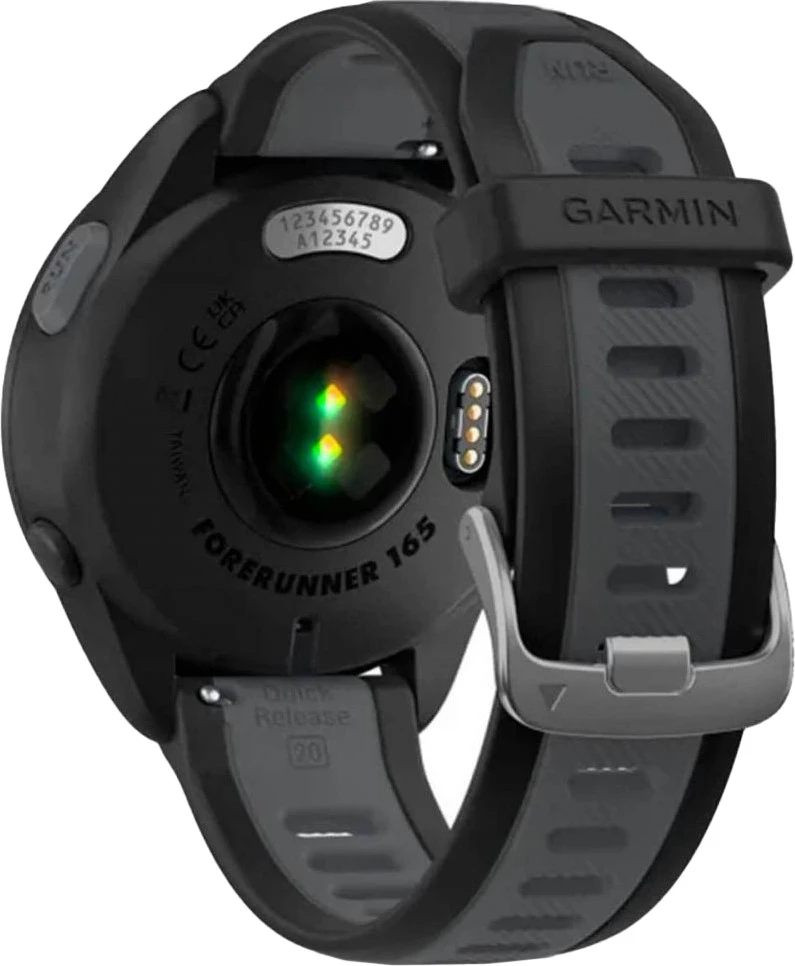 Смарт-годинники Garmin Forerunner 165 Music Black/Slate Gray (010-02863-30/B0)