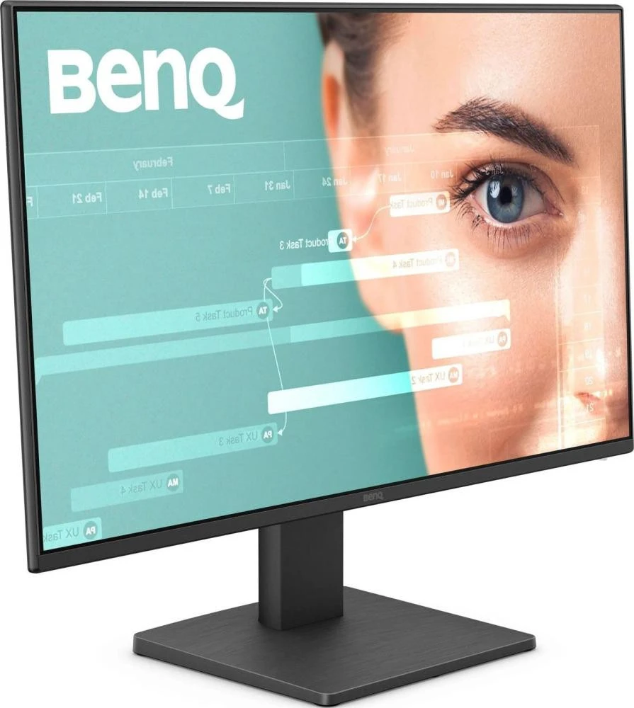 BenQ GW2491E (9H.LNHLJ.LBE) (UA)