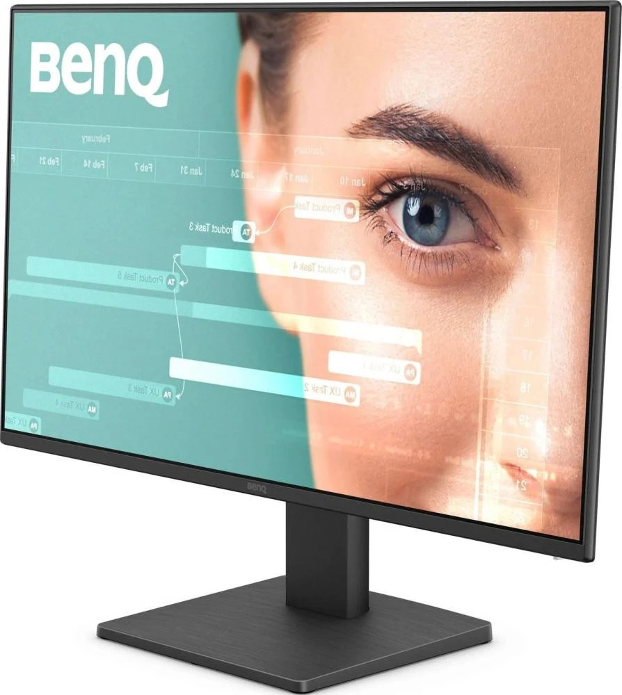 BenQ GW2491E (9H.LNHLJ.LBE) (UA)