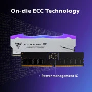 PATRIOT 32 GB (2x16GB) DDR5 6000 MHz Viper Xtreme 5 RGB MPower (PVXR532G60C30KM)