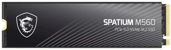 MSI Spatium M560 1 TB (S78-440L0F0-P83)