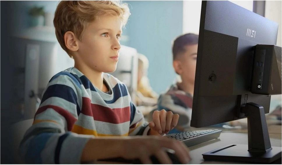 MSI Pro MP225V (9S6-3PE0CM-014) (UA)