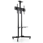 Стойка презентационная Vinga TFS-W0564B1 (UA)