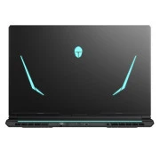 Thunderobot 911 X17 (911X17-i7136H56C1Q165MB) (UA)