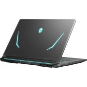 Thunderobot 911 X17 (911X17-i7136H56C1Q165MB) (UA)