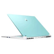 Thunderobot RS16 (RS16-I9139HX56E1Q240ARC) (UA)