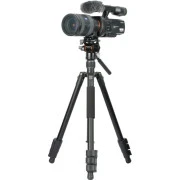 Vanguard Vesta Go 234AV10 (DAS303522) (UA)