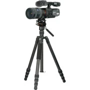 Vanguard Vesta Go 234CV10 (DAS303523) (UA)