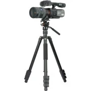 Vanguard Vesta Go 264AV12 (DAS303524) (UA)