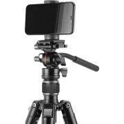 Vanguard Vesta Go 264AV12 (DAS303524) (UA)