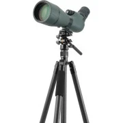 Vanguard Vesta Go 264CV12 (DAS303525) (UA)