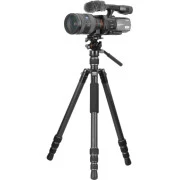 Vanguard Vesta Go 264CV12 (DAS303525) (UA)