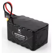 Аккумуляторный блок Vinga Li-Ion 12S2P 11000mAh з балансувальним дротом (V12S2P-22000MAH) (UA)