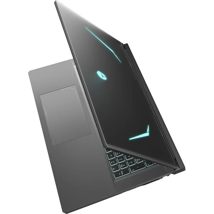 Thunderobot 911 X17 (911X17-i7136H56C1Q165MB) (UA)