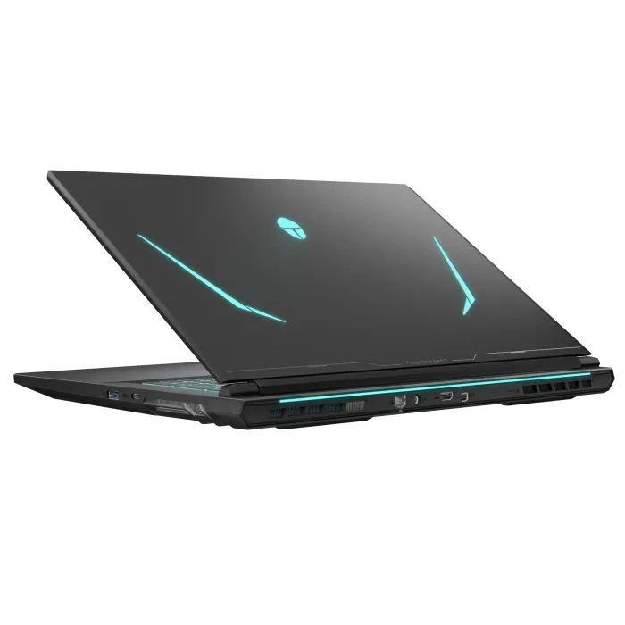 Thunderobot 911 X17 (911X17-i7136H56C1Q165MB) (UA)