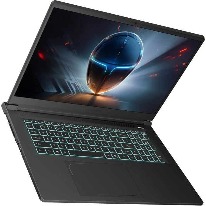Thunderobot 911 X17 (911X17-i7136H56C1Q165MB) (UA)