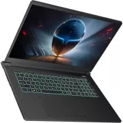 Thunderobot 911 X17 (911X17-i7136H56C1Q165MB) (UA)