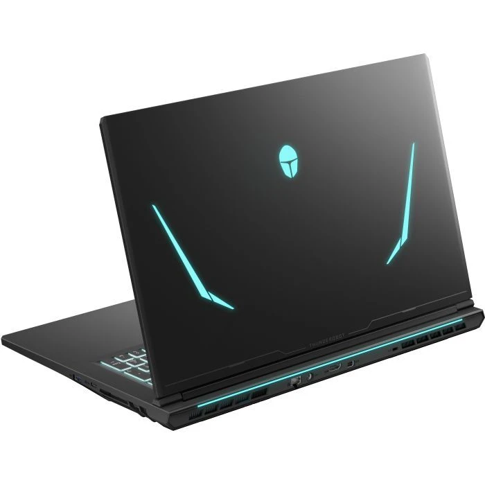 Thunderobot 911 X17 (911X17-i7136H56C1Q165MB) (UA)