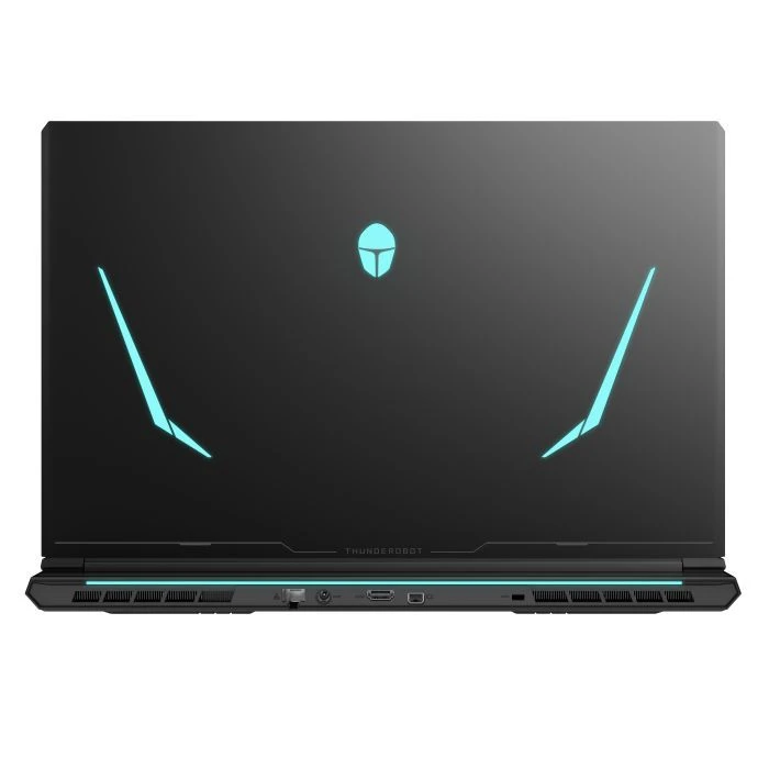 Thunderobot 911 X17 (911X17-i7136H56C1Q165MB) (UA)