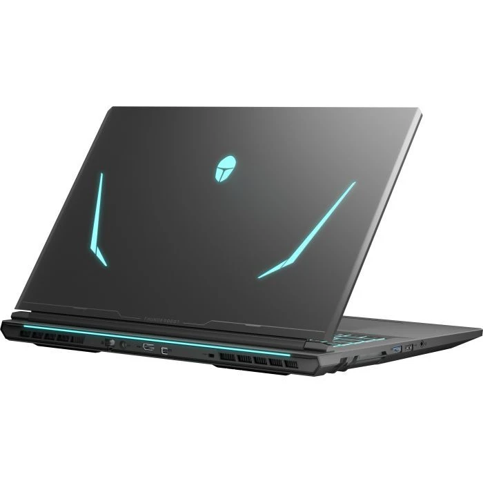 Thunderobot 911 X17 (911X17-i7136H56C1Q165MB) (UA)