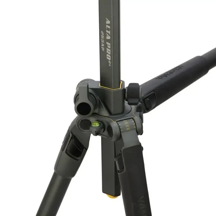 Vanguard Alta Pro 2+ 263AP (DAS301020) (UA)