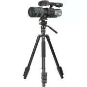 Vanguard Vesta Go 264AV12 (DAS303524) (UA)