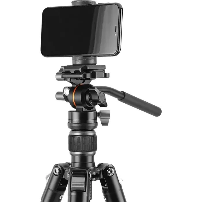 Vanguard Vesta Go 264AV12 (DAS303524) (UA)