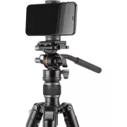 Vanguard Vesta Go 264AV12 (DAS303524) (UA)