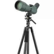 Vanguard Vesta Go 264CV12 (DAS303525) (UA)