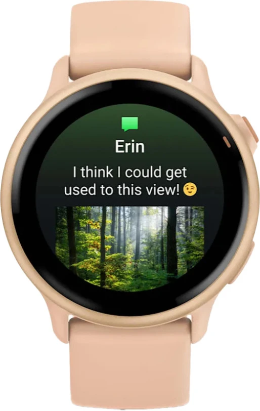 Смарт-годинники Garmin Vivoactive 6 Metallic Pink Dawn з Pink Dawn Band (010-02985-03/43)