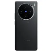 Vivo X100 12/256GB Asteroid Black