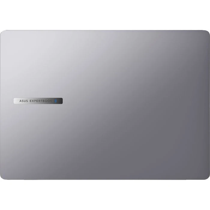 ASUS ExpertBook P5 P5405CSA-NZ1058X (90NX0861-M01E50) (UA)