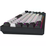 GamePro Asgard Valhalla Pro Rainy Switch Bluetooth/2.4G/USB USB White with display (MK160W-D-Pro) (UA)